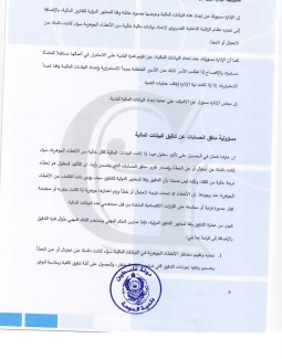 تقرير المدقق 2024 