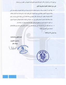 تقرير المدقق 2024 