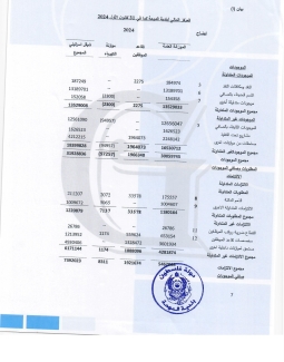 تقرير المدقق 2024 