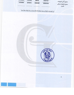 تقرير المدقق 2024 