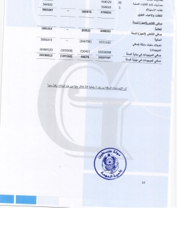 تقرير المدقق 2024 