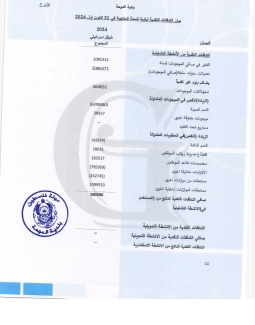 تقرير المدقق 2024 
