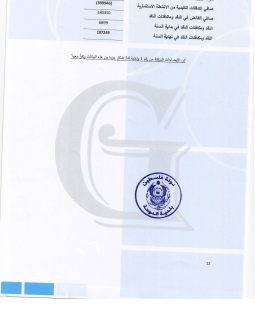 تقرير المدقق 2024 