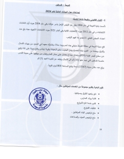 تقرير المدقق 2024 