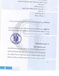 تقرير المدقق 2024 