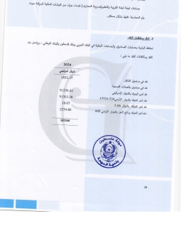 تقرير المدقق 2024 