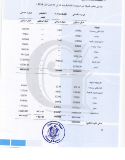 تقرير المدقق 2024 