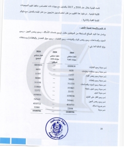 تقرير المدقق 2024 