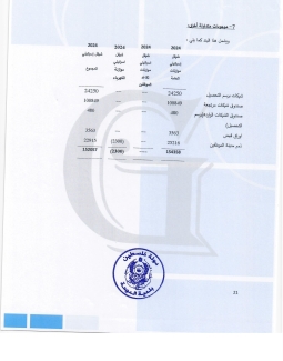 تقرير المدقق 2024 