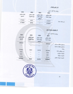 تقرير المدقق 2024 