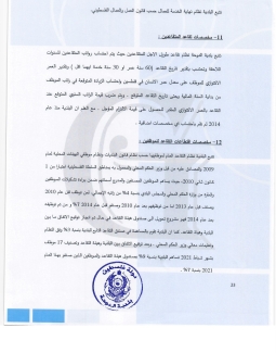 تقرير المدقق 2024 