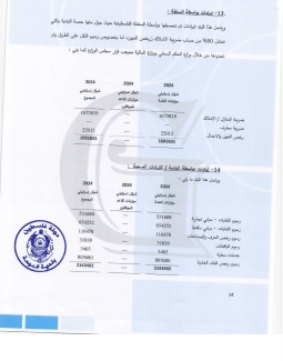 تقرير المدقق 2024 