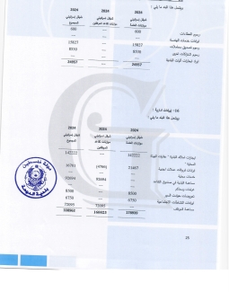 تقرير المدقق 2024 