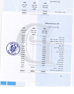 تقرير المدقق 2024 