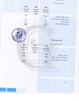 تقرير المدقق 2024 