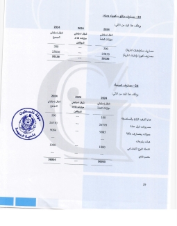 تقرير المدقق 2024 