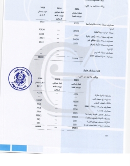 تقرير المدقق 2024 