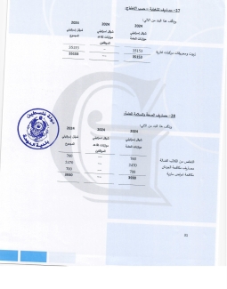 تقرير المدقق 2024 