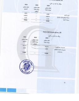 تقرير المدقق 2024 